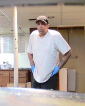 Police seeks suspect in home break and enter | Windsor Police Service