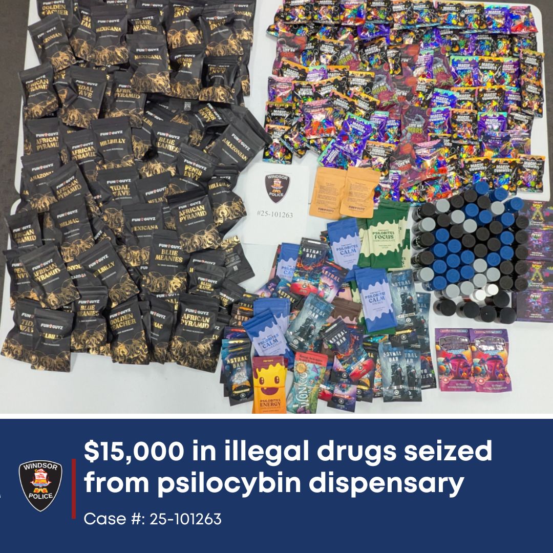 Picture of seized substances 